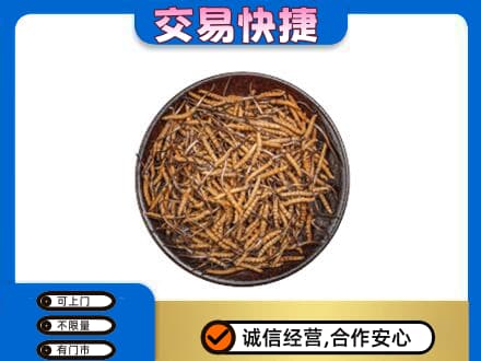 湘西龙山县回收散虫草